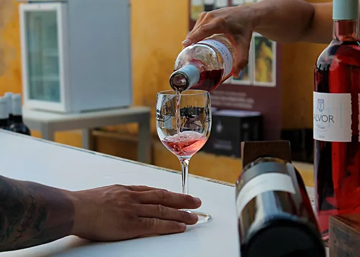 公寓 Presidente 波尔蒂芒